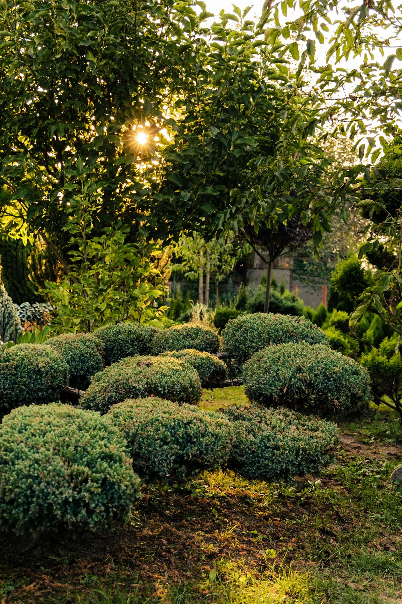 Landscaping